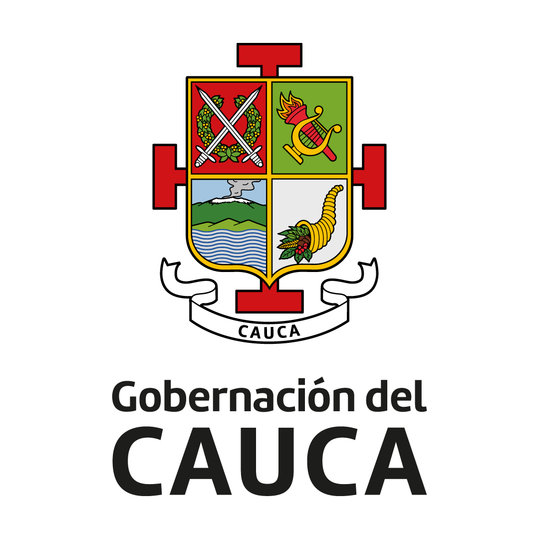 Organizacion